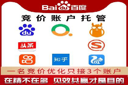 揭秘百度竞价排名：实战案例解析