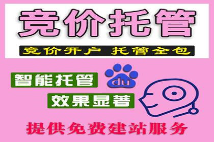 某行业SEM广告投放的创意与执行案例
